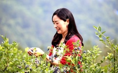 中文字幕黑人与牧村柚希